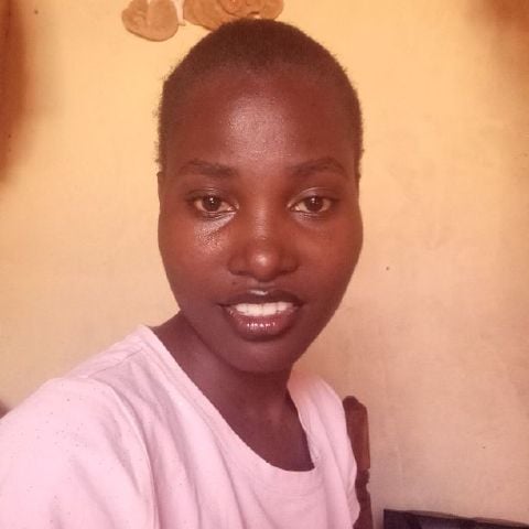 Linah558