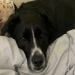 JosieGale is Single in Russell, Kentucky, 4