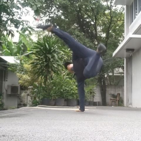 sardz