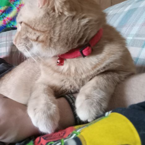 Fredz87 is Single in Manawa, Wisconsin, 7