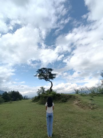 Gresia04