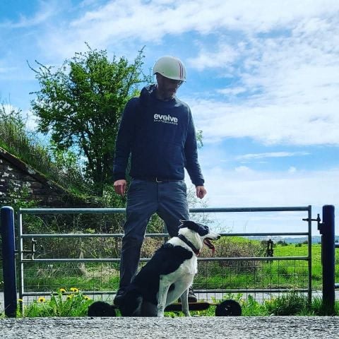 Collieowner is Single in Greenock, Scotland, 3