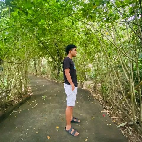 Renz61