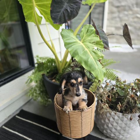 FaithfulTrailblazer is Single in Omaha, Nebraska, 8