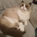 Sarah_Anne is Single in Helenville, Wisconsin, 2