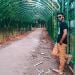 akib19 is Single in Kafrul, Dhaka