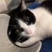 Forestcitywild is Single in Beaverton, Oregon, 2