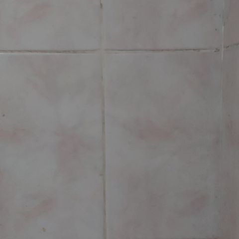 SandraBarat