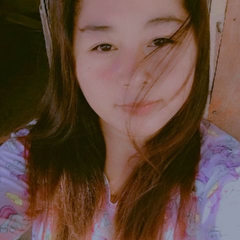 Angelicadacay