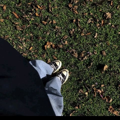 _Shintaaakarrel
