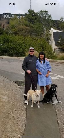 Triana3752 is Single in dallas, Texas, 7