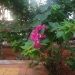 Varsha1996 is Single in Puducherry, Pondicherry, 1