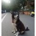 Varsha1996 is Single in Puducherry, Pondicherry, 4