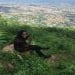 joey2085 is Single in Jassy City, New Jersey, 6