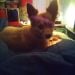 Ladyblu72 is Single in Lutz, Florida, 3