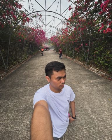 Gelo11