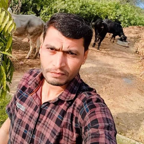 mukeshpanchal