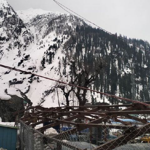 Tajamul87 is Single in Anantnag, Jammu and Kashmir, 3