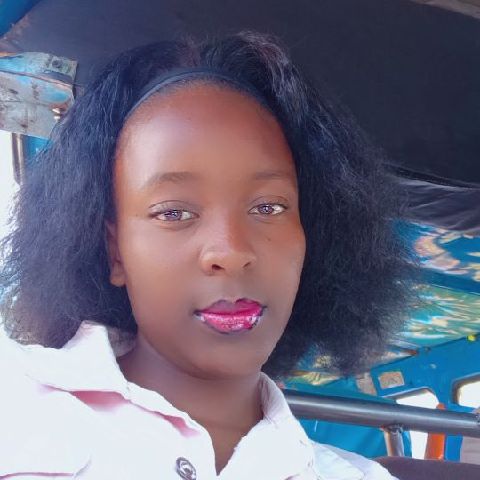 Tashykesh