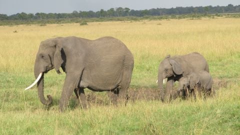 missions2002 is Single in N/A, West Virginia, 3