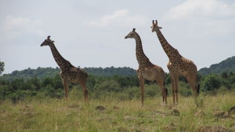 missions2002 is Single in N/A, West Virginia, 4