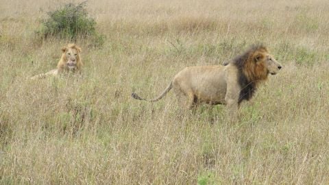 missions2002 is Single in N/A, West Virginia, 5