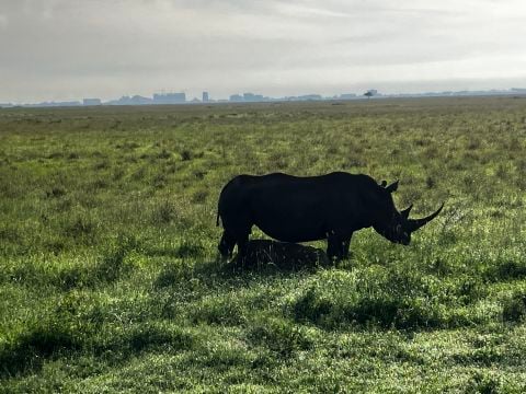 missions2002 is Single in N/A, West Virginia, 7