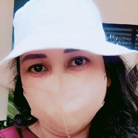 haai_nora