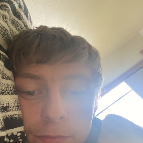 Bradyhosking1