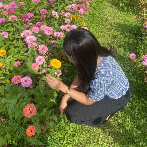 Liliaaa