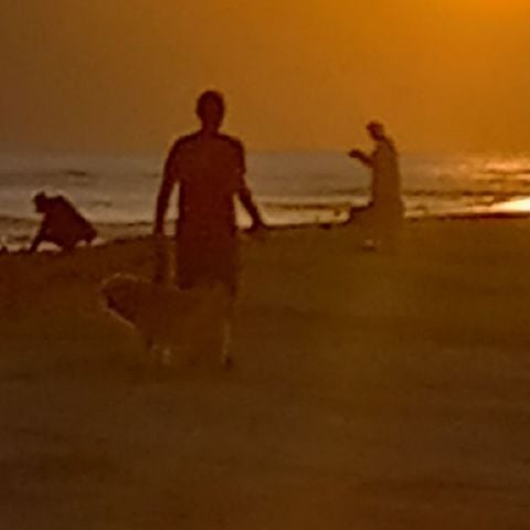 Briankarl38 is Single in Fort Myers, Florida, 4