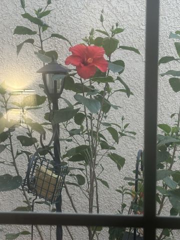 bobforu is Single in Tucson, Arizona, 4