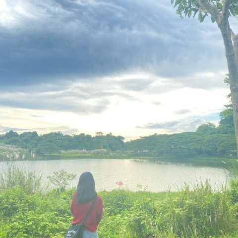 Putri456