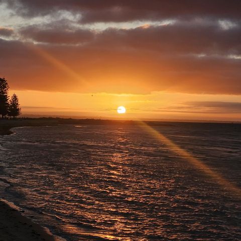 Timtamsmelbs is Single in Altona, Victoria, 3