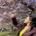 Candypragtig is Single in Oradell, New Jersey