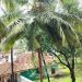 Shanaya06 is Single in Mumbai, Maharashtra