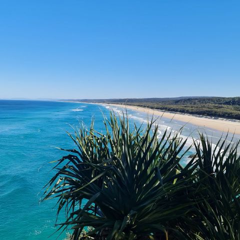 Banksy83 is Single in North Stradbroke Island, Queensland, 5