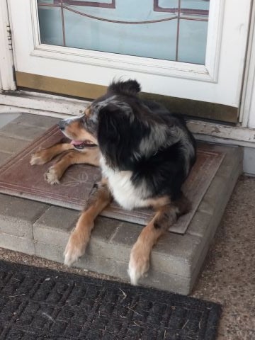 respectothers is Single in NEWBURGH, Indiana, 3