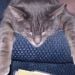 Mickie11 is Single in Wenatchee, Washington, 3