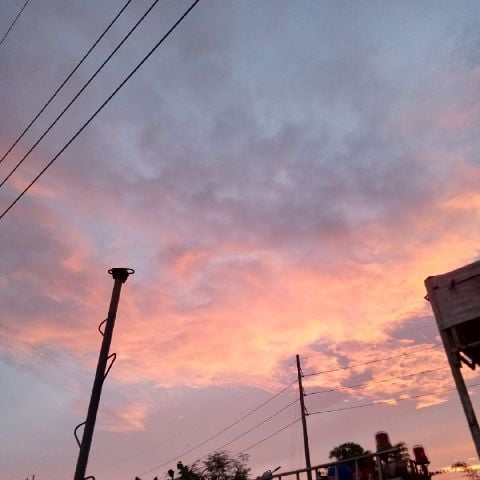 Mayrei