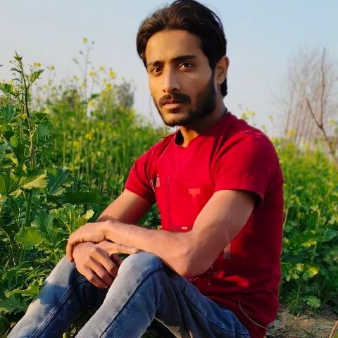 Parvez769