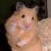 Benjamin_042 is Single in Los Angeles, California, 4