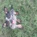 ChristianBrother56 is Single in Randolph, Wisconsin, 4