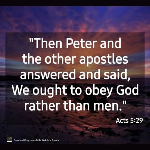 Samuel21261
