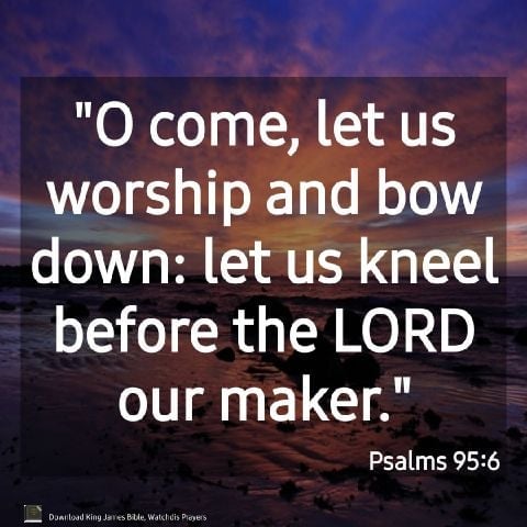 Samuel21261