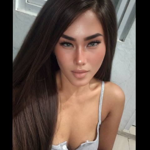 Revi0478