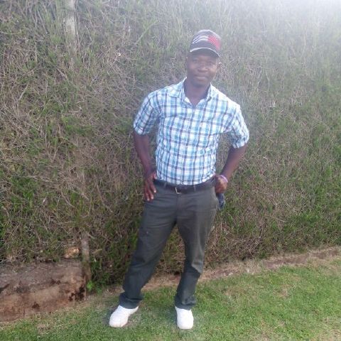 Humphrey916
