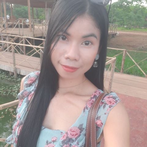 Sareit