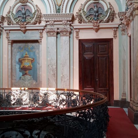OliviaAgoraVolta
