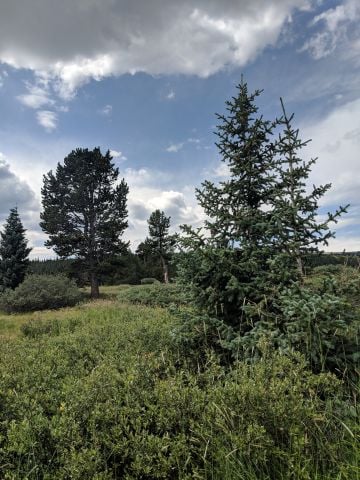 WalkHike7